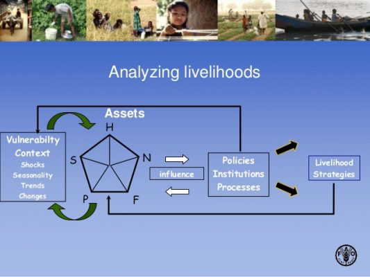 Statistics and trends on the livelihood of children